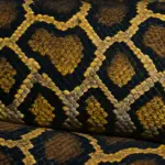 Il serpente più colorato al mondo: specie e caratteristiche