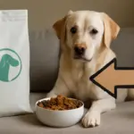 Crocchette light per cani sterilizzati: sono davvero utili o solo marketing?