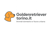 Goldenretrievertorino.it